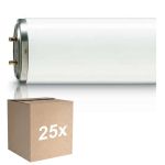 Mehrfachpackung 25x Philips TL-DK 36W - Blacklight | 60cm - Insectkiller