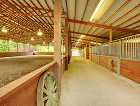 Highbays im Stall
